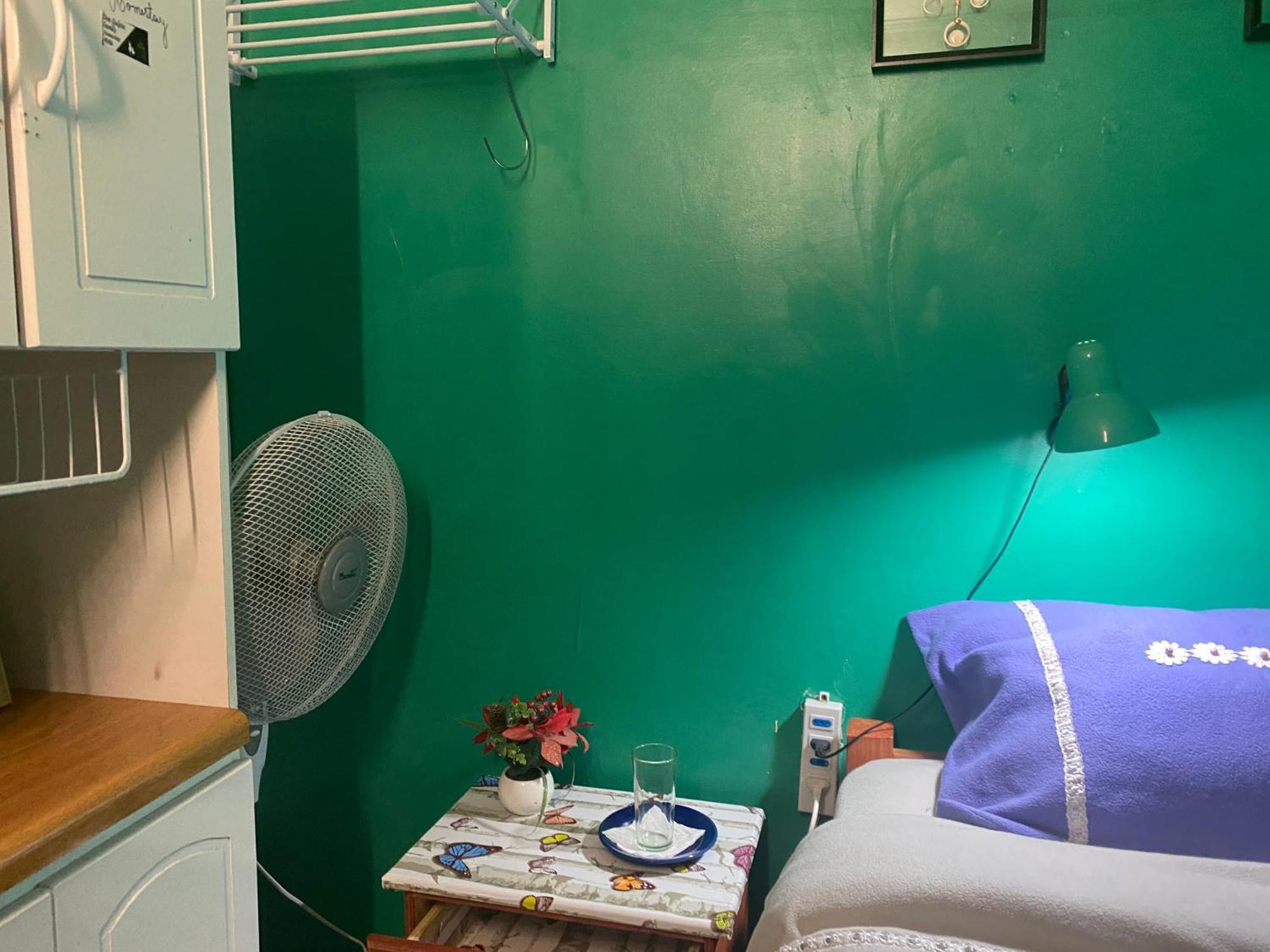 Don Quijote Family Homestay Santiago de Chile Exterior foto
